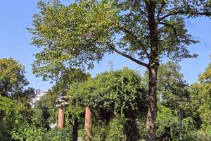 Property thumbnail 18