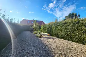Luxus Landhaus mit Gewerbe und optionaler Pferdewiese in Waldnähe von Belsch (Kreis Ludwigslust) – Ludwigslust (Kreis) – Vorschaubild 8