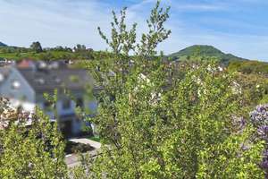 Charmantes Einfamilienhaus mit Einliegerwohnung in ruhiger Lage von Waldstetten! – Die vollständige Adresse der Immobilie erhältst du vom Anbieter., 73550 Waldstetten – Vorschaubild 6