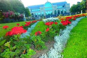 Property thumbnail 38