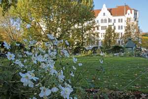 Property thumbnail 10