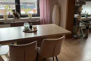 Helles Ein-/Zweifamilienhaus – Gifhorn (Kreis) – Vorschaubild 9