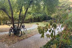 Property thumbnail 32