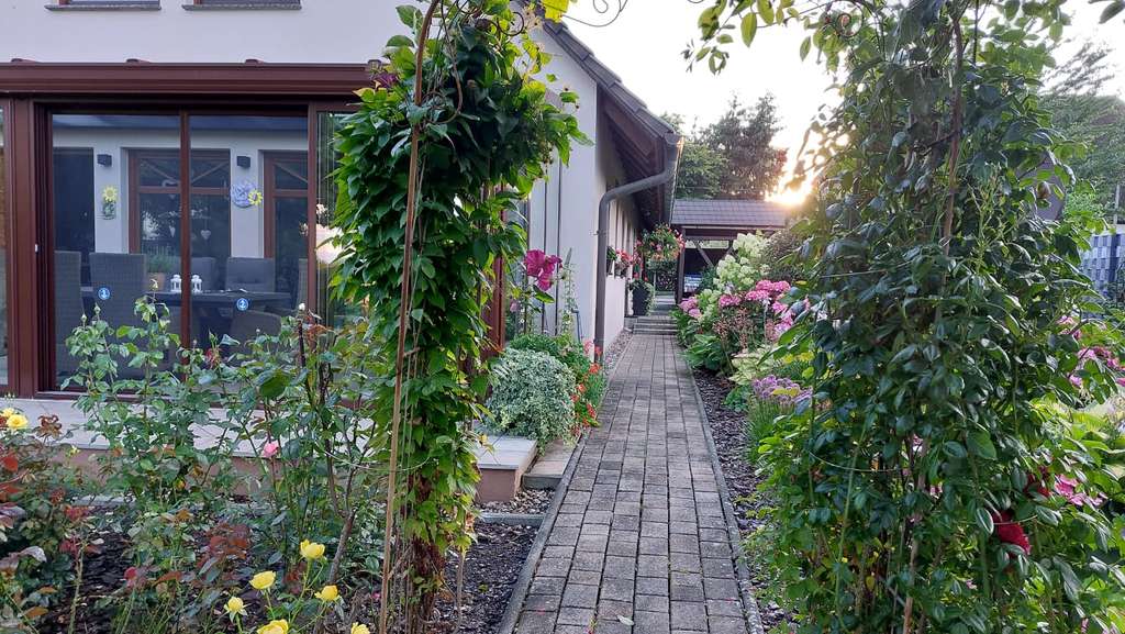 Immobilie in Sanitz - energieeffizientes Einfamilienhaus mit gepflegtem Garten - Bild 2