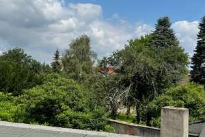 NEUER PREIS - Historisches EFH mit Gewölbekeller, Grundstück in Ostritz - sanierungsbedürftig – Gerhart-Hauptmann-Str. 2, 2899 Ostritz – Vorschaubild 30