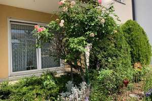 Gemütliches Ambiente ... 
Gegen Gebot zu verkaufen ... 