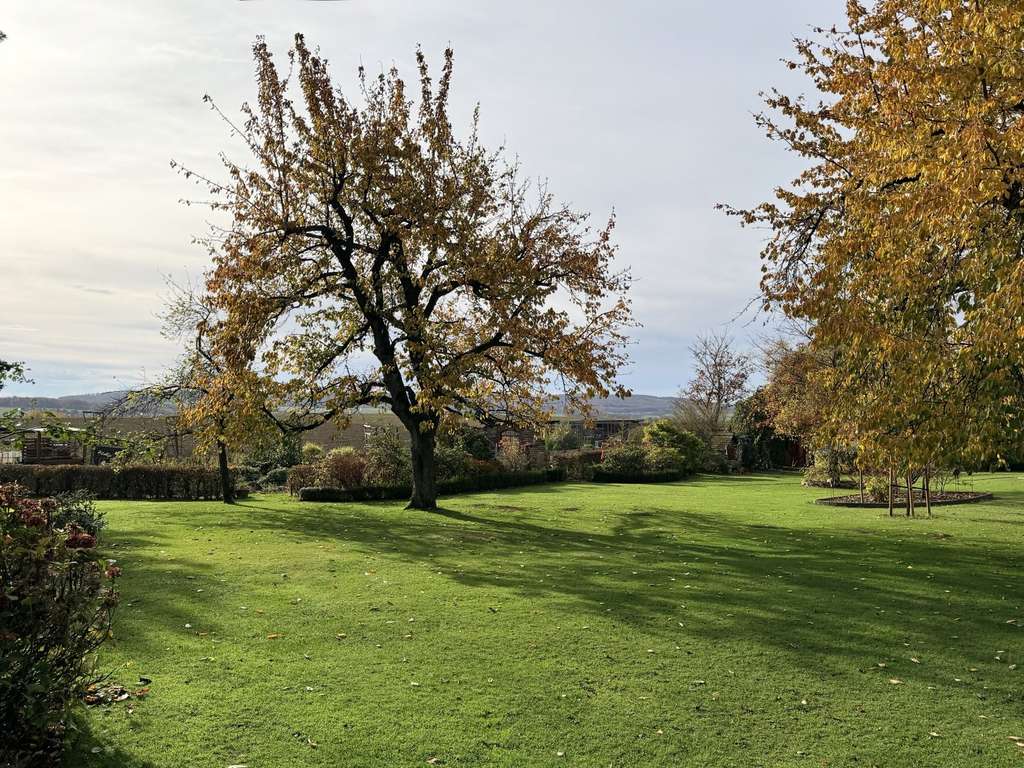 Immobilie in Auetal - individuelles Wohnhaus mit unverbautem Fernblick - Bild 1
