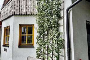 EFH Paradies mit Ökogarten und separatem Bauplatz – Die vollständige Adresse der Immobilie erhältst du vom Anbieter., 85235 Pfaffenhofen an der Glonn – Vorschaubild 5