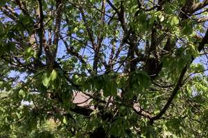 Property thumbnail 35