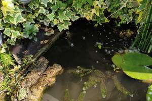 Property thumbnail 37