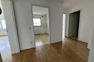 Ruhige Lage - praktisch und zweckmäßige Raumaufteilung – Julius-Hatry-Straße 6, 68163 Lindenhof, Mannheim – Vorschaubild 7