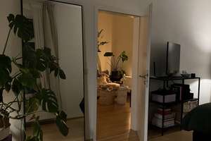 Gemütliche 2-Zimmer Wohnung im modernisierten Altbau – Die vollständige Adresse der Immobilie erhältst du vom Anbieter., 38100 Innenstadt, Braunschweig – Vorschaubild 12