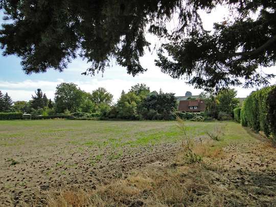 898m² Baugrundstück in einer Sackgasse, in Dahlewitz - Südausrichtung! - Bild 7