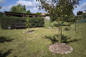 Bau-Grundstück in Finowfurt (Schorfheide) zur Bebauung mit Mehrfamilienhaus, Reihenhaus, Doppelhaus – Barnim (Kreis) – Vorschaubild 1