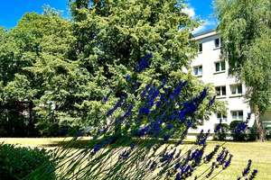 Kernsanierte & hochwertig möblierte 2-Zimmer-Wohnung mit Balkon in Frankfurt-Sachsenhausen