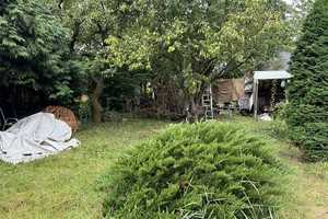 Texas gefällig? Sanierungsbedürftiges EFH in Toplage – Magdeburg – Vorschaubild 13