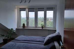 Gepflegte ruhige 2 Zimmerwohnung in Frankental – Die vollständige Adresse der Immobilie erhältst du vom Anbieter., 67227 Kernstadt, Frankenthal (Pfalz) – Vorschaubild 6