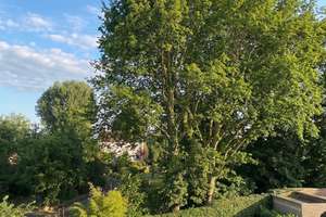 Individuelles Gebäudeensemble an den Rheinauen – Die vollständige Adresse der Immobilie erhältst du vom Anbieter., 40547 Lörick, Düsseldorf – Vorschaubild 25