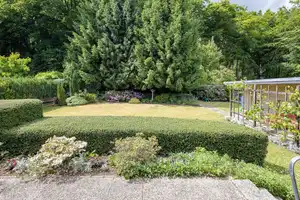 Grünes Glück 
Einfamilienhaus mit anliegendem Waldgrundstück – Diepholz (Kreis) – Vorschaubild 17