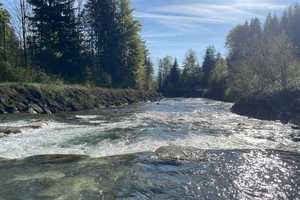 idyllisches Wohnen direkt am Kieferbach - Natur pur! – Rosenheim (Kreis) – Vorschaubild 2