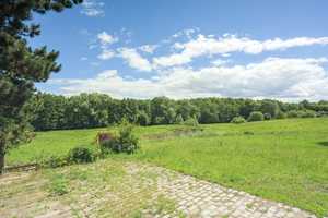 Solitär! Landhaus auf 80 Hektar in Flusslage – Herzogtum Lauenburg (Kreis) – Vorschaubild 6