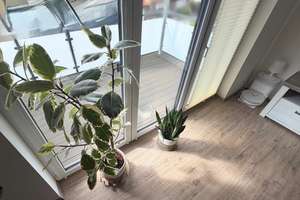 Neuwertige 2-Zimmer-Wohnung mit Balkon im schönen Bielefeld-Schildesche – 33611 Schildesche, Bielefeld – Vorschaubild 7