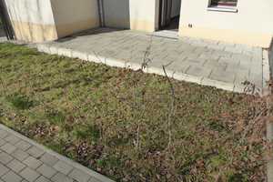 Vorhang auf! - Exquisite 2-Raum mit Terrasse im ehemaligen Kino "Europa70" – Hainstr. 36, 9130 Chemnitz – Vorschaubild 8