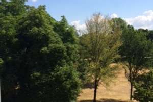 Wohnen am Park – Die vollständige Adresse der Immobilie erhältst du vom Anbieter., 68305 Waldhof, Mannheim – Vorschaubild 3