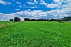 Eine Oase der Ruhe hoch über der Ortschaft – Die vollständige Adresse der Immobilie erhältst du vom Anbieter., 2708 Niedercunnersdorf – Vorschaubild 16