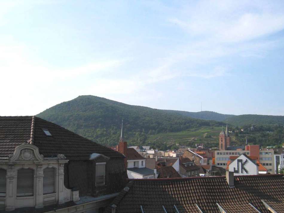 Blick aus dem OG