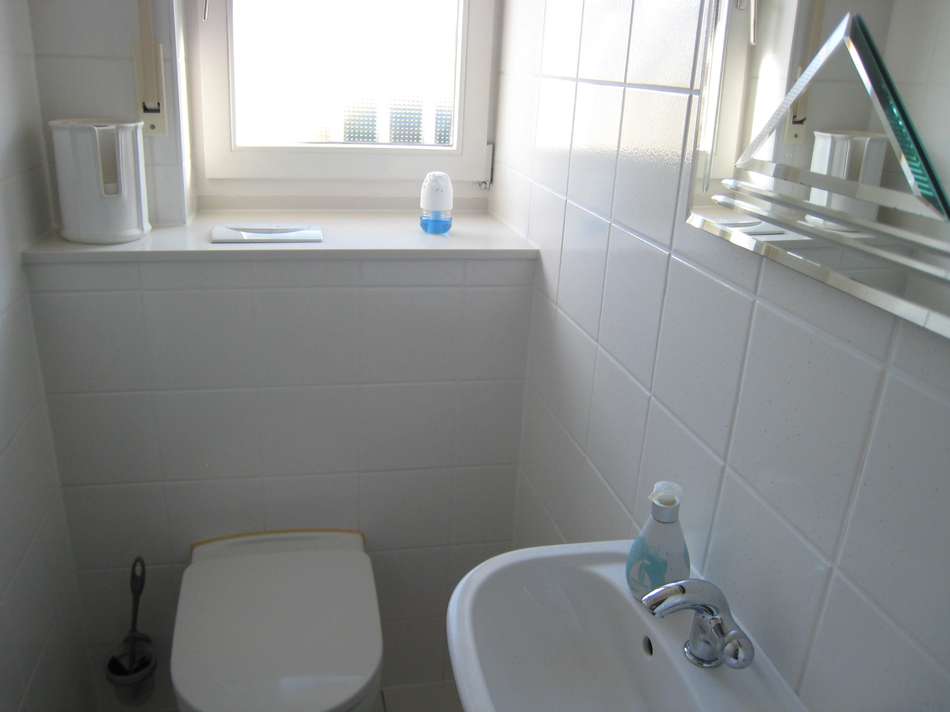 Tageslicht-Gäste-WC EG