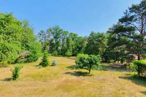 Großer Wohntraum, Kaminhäuschen, eigener Wald - viele Möglichkeiten – Langendorf, Lüchow-Dannenberg (Kreis), 29484 Lüchow-Dannenberg (Kreis) – Vorschaubild 5