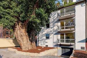 DÜSSELDORF-Grafenberg: "dachterrassenwohnen. im SCHUBERT15. "