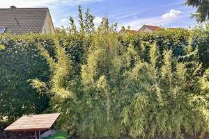 Attraktiver Bungalow in ruhiger Lage von Magdeburg | 108 m² | Garage | provisionsfrei – Die vollständige Adresse der Immobilie erhältst du vom Anbieter., 39118 Reform, Magdeburg – Vorschaubild 30