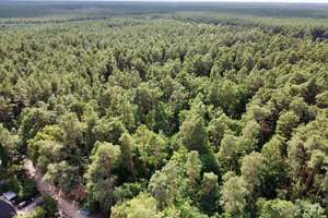 Waldnah wohnen, individuell gestalten – Grundstück mit Bestandsbungalow – 16515 Oranienburg – Vorschaubild 8