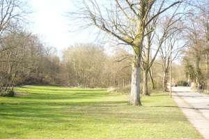 Ein Stück vom Glück-mit Superblick