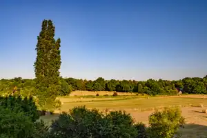 Property thumbnail 12