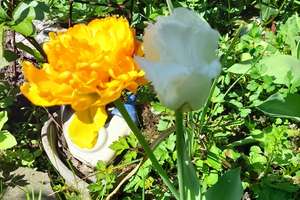 Property thumbnail 25