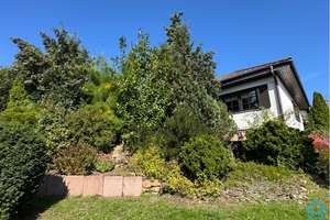 ⏳RESERVIERT!⏳Gepflegtes EFH im Landhausstil mit Kamin & Doppelgarage – Die vollständige Adresse der Immobilie erhältst du vom Anbieter., 55619 Hennweiler – Vorschaubild 3
