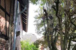 EFH mit kl. Laden, großer überdachter Dachterrasse ,großem bebaubarem Grundstück und Scheune – Schwalm-Eder-Kreis – Vorschaubild 38