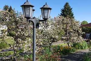Großes EFH voll unterkellert weitläufiger Garten – Barnim (Kreis) – Vorschaubild 3