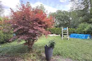 Moderne 3 ½-Zimmer-Wohnung im Gartengeschoss – Die vollständige Adresse der Immobilie erhältst du vom Anbieter., 70569 Dachswald, Stuttgart – Vorschaubild 12