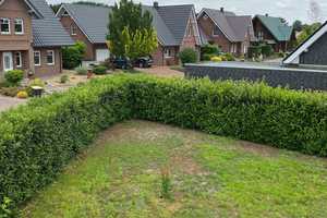Gepflegtes Haus zu mieten - keine Maklerprovision – Ulmenweg 4, 49626 Osnabrück (Kreis) – Vorschaubild 30