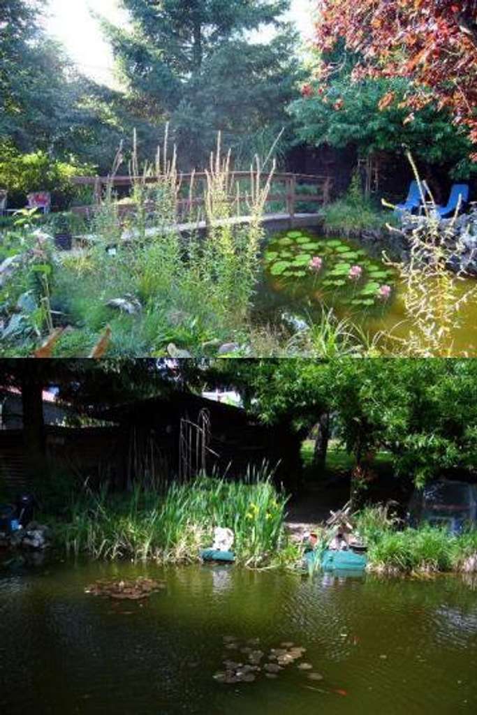 Immobilie in Osterode - Schönes großes Wohnhaus in schöner Lage - Bild 3