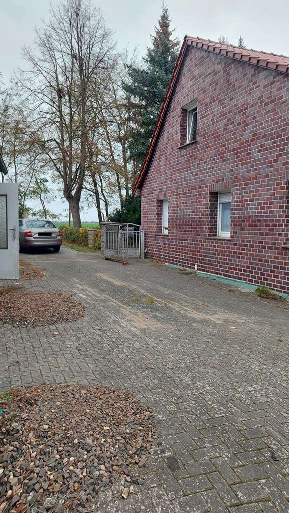 Immobilie in Alt Tucheband - Lust auf's Landleben? Bauerngehöft in Randlage mit Nebengelass zu verkaufen - Bild 2