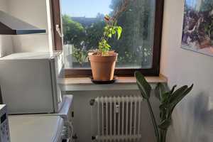 Property thumbnail 16