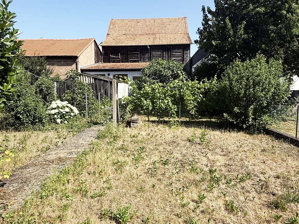 Hausansicht Garten