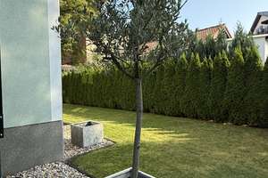 **JA!! Frisch sanierte 3 Zimmer mit 2 Balkonen, Terrasse und 250 qm Garten, fußläufig zum Wasser...* – Godbersenstraße 27, 12527 Schmöckwitz, Berlin – Vorschaubild 13