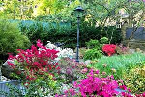 Property thumbnail 14