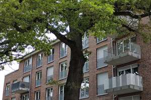 Zuhause mit 3 Zimmern und Balkon in Hamburg Schnelsen – Schleswiger Damm 260d, 22457 Schnelsen, Hamburg – Vorschaubild 7